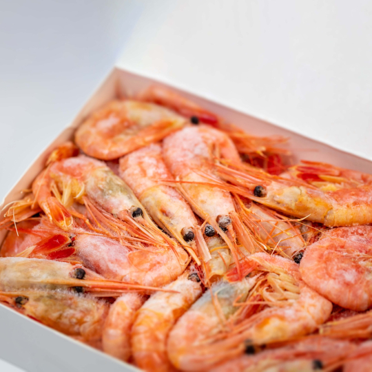 Cold Water Shrimps 